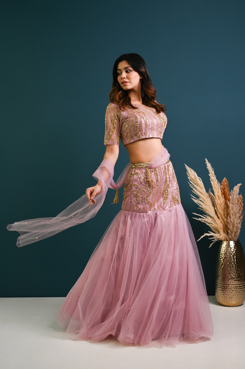 Three Pieces- Lehenga Choli, Belly Dancing, Embroidery Dress