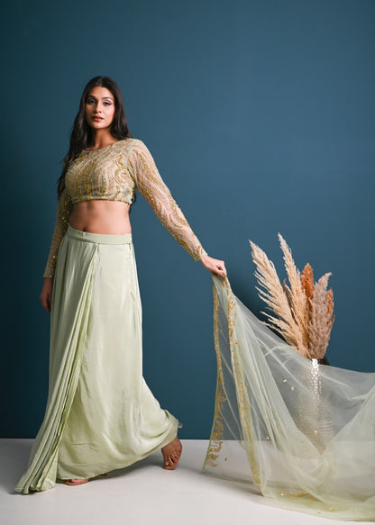 Embellished Saree-Skirt Set